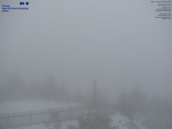 Pohled na jihozápad, Smrk