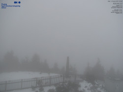 Pohled na jihozápad, Smrk