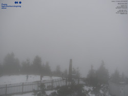 Pohled na jihozápad, Smrk