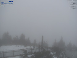 Pohled na jihozápad, Smrk