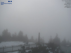 Pohled na jihozápad, Smrk