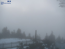 Pohled na jihozápad, Smrk