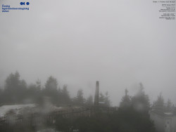 Pohled na jihozápad, Smrk