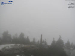 Pohled na jihozápad, Smrk