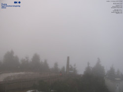 Pohled na jihozápad, Smrk