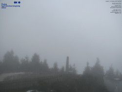 Pohled na jihozápad, Smrk