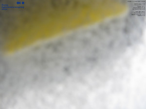 Lysá hora - Pohled na jihozápad, Smrk - 16.2.2026 v 14:00 Lysá hora - Pohled na jihozápad, Smrk - 16.2.2026 v 14:00