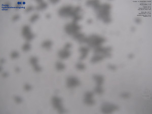 Lysá hora - Pohled na jihozápad, Smrk - 16.2.2026 v 16:45