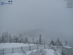 Pohled na jihozápad, Smrk