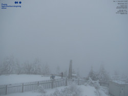 Pohled na jihozápad, Smrk