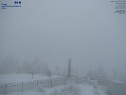 Pohled na jihozápad, Smrk