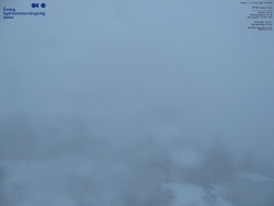 Pohled na jihozápad, Smrk