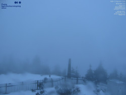 Pohled na jihozápad, Smrk