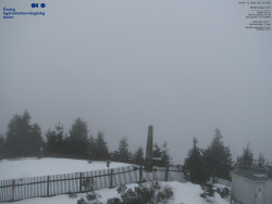 Pohled na jihozápad, Smrk