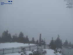 Pohled na jihozápad, Smrk