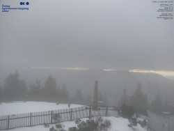 Pohled na jihozápad, Smrk