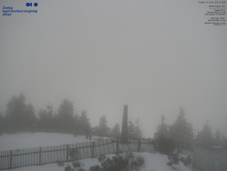 Pohled na jihozápad, Smrk