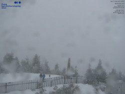 Pohled na jihozápad, Smrk