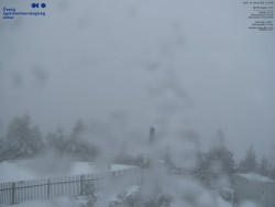 Pohled na jihozápad, Smrk