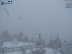 Pohled na jihozápad, Smrk