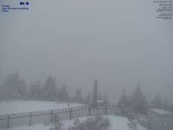 Pohled na jihozápad, Smrk