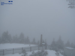 Pohled na jihozápad, Smrk