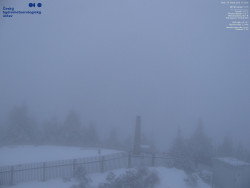 Pohled na jihozápad, Smrk