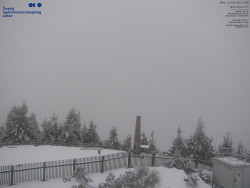 Pohled na jihozápad, Smrk