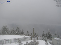 Pohled na jihozápad, Smrk