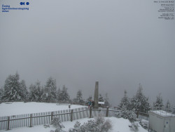 Pohled na jihozápad, Smrk