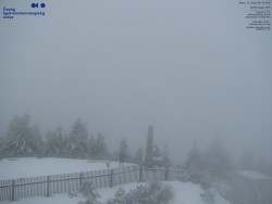 Pohled na jihozápad, Smrk