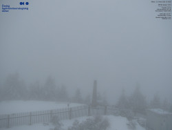 Pohled na jihozápad, Smrk