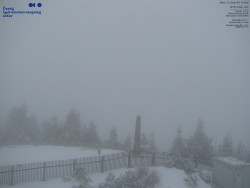 Pohled na jihozápad, Smrk