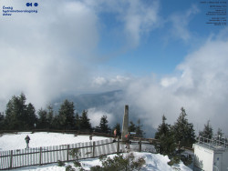 Pohled na jihozápad, Smrk