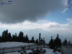 Pohled na jihozápad, Smrk