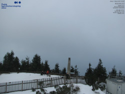 Pohled na jihozápad, Smrk