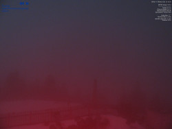 Pohled na jihozápad, Smrk