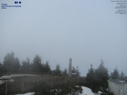 Pohled na jihozápad, Smrk