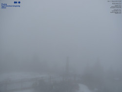 Pohled na jihozápad, Smrk