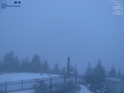 Pohled na jihozápad, Smrk