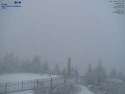 Pohled na jihozápad, Smrk