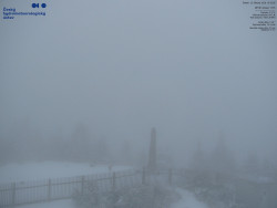 Pohled na jihozápad, Smrk