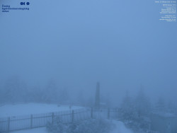 Pohled na jihozápad, Smrk