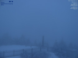 Pohled na jihozápad, Smrk