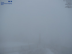 Pohled na jihozápad, Smrk