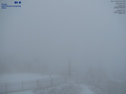 Pohled na jihozápad, Smrk