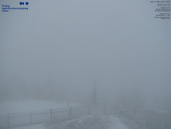 Pohled na jihozápad, Smrk