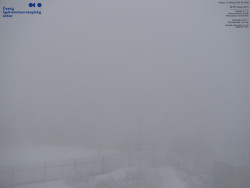 Pohled na jihozápad, Smrk