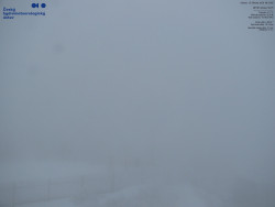 Pohled na jihozápad, Smrk