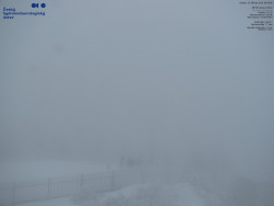 Pohled na jihozápad, Smrk